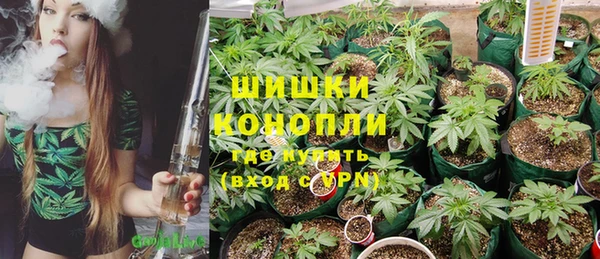 винт Арсеньев